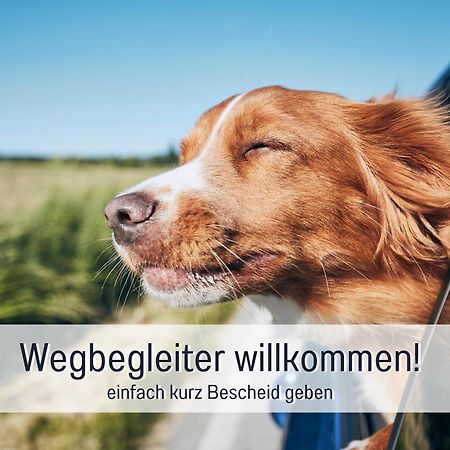 Stadtapartment By Live It - Voll Ausgestattete Kueche, Smarttv, Waschtrockner, 1-5 Pers Brandenburg  المظهر الخارجي الصورة